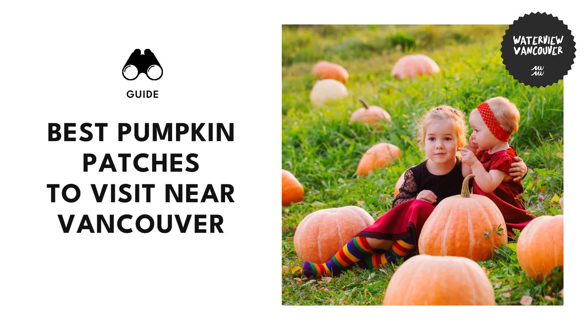 Vancouver’s Best Pumpkin Patches to Visit This Fall