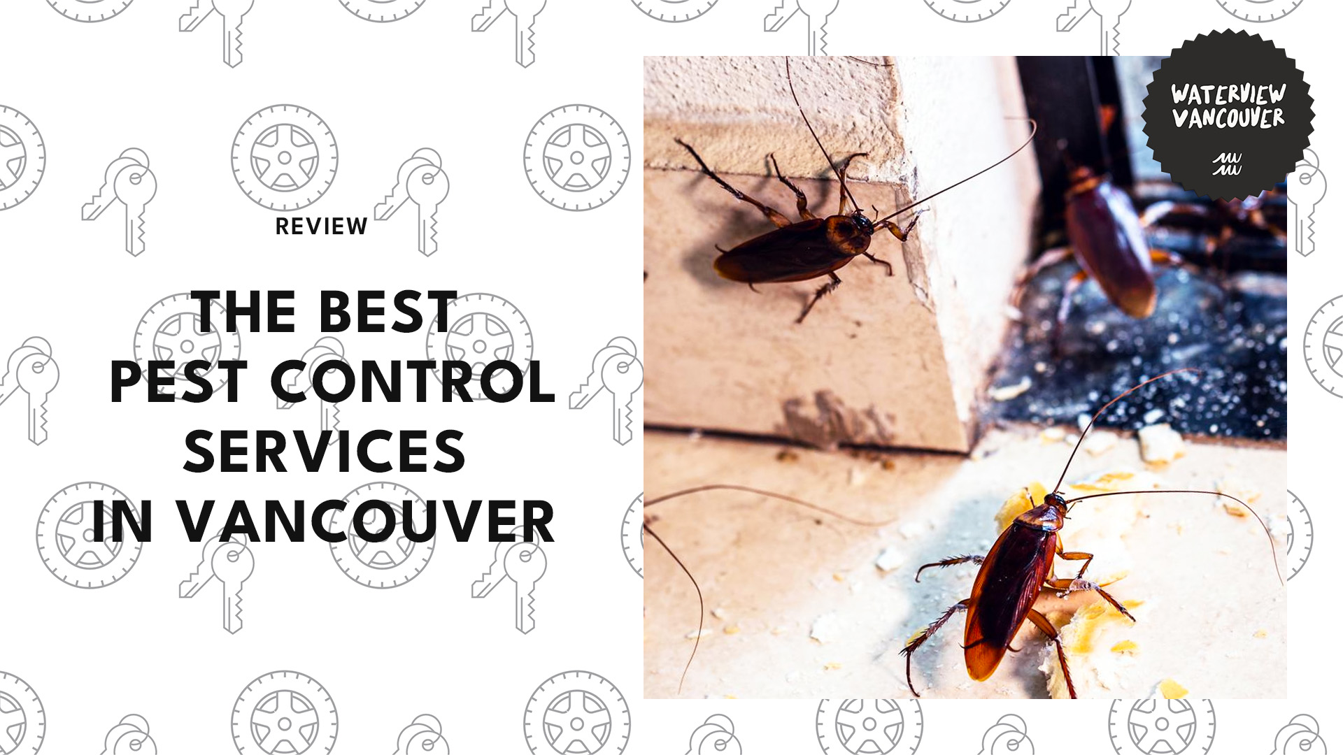 Defend your home Top 5 Best Pest Control in Vancouver