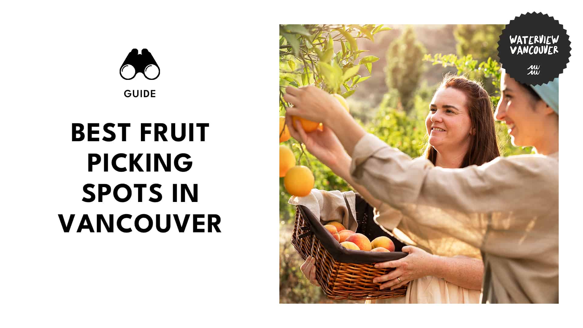 Nature's Bounty Exploring Vancouver's Juiciest Fruit Spots