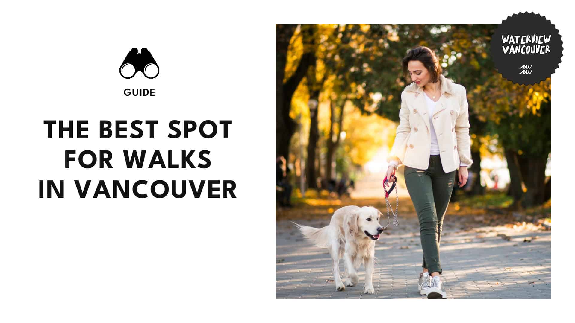 Top 10 Spots for Walks in Vancouver