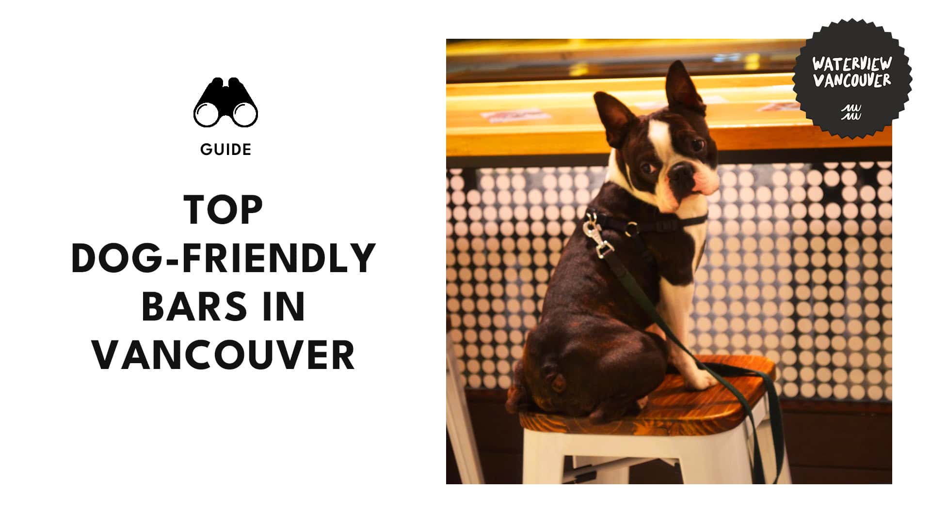 Vancouver’s Top 15 Dog-Friendly Bars
