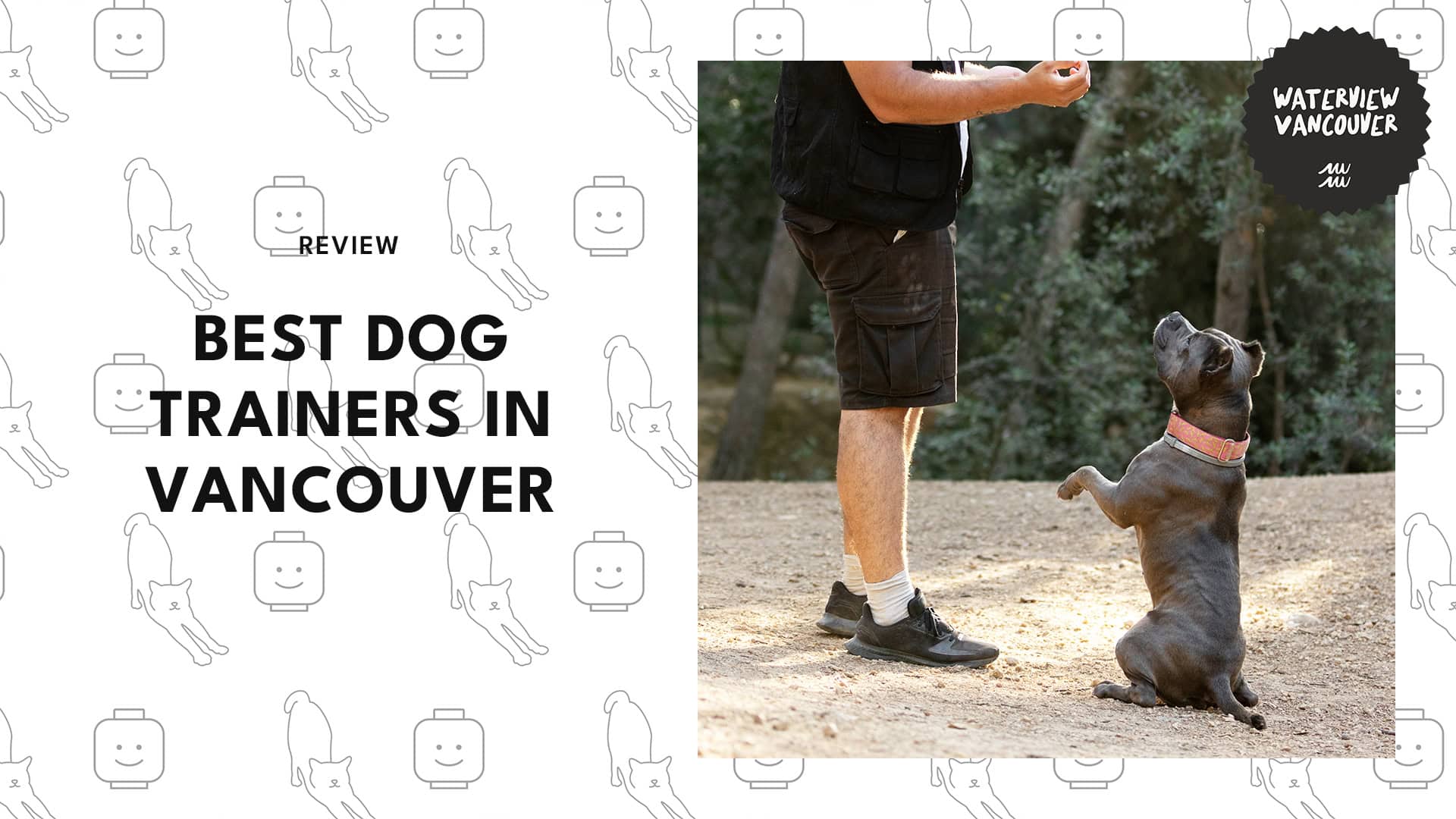 The 5 Best Dog Trainers in Vancouver You and Your Pup Will Love