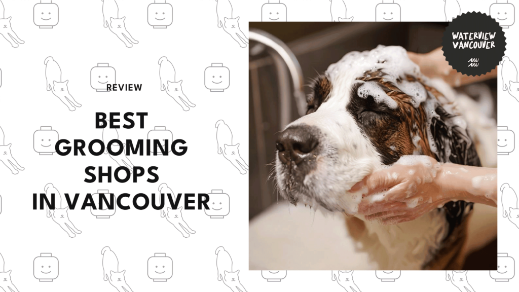 7 Grooming Shops in Vancouver We’re Paw-sitive You’ll Love