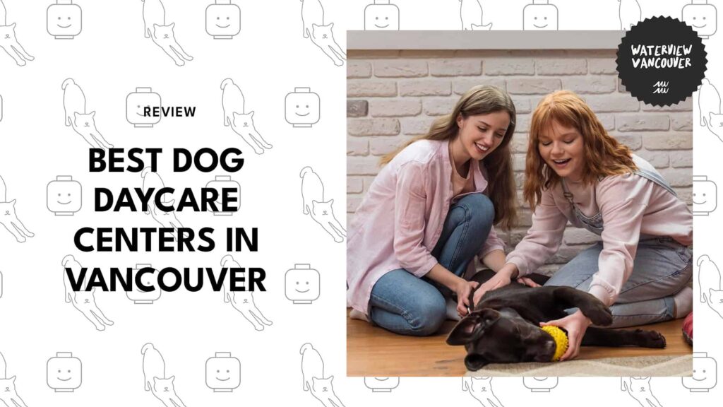 The 7 Best Dog Daycare Centers in Vancouver According to Local Dog Parents
