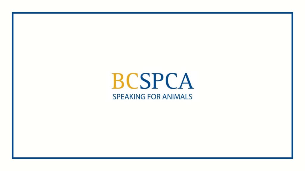 bc-spca-vancouver