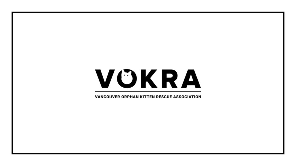 vokra-vancouver-orphan-kitten-rescue-association