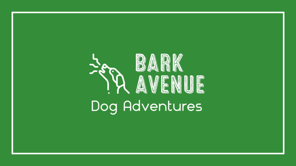 bark-avenue-dog-adventures