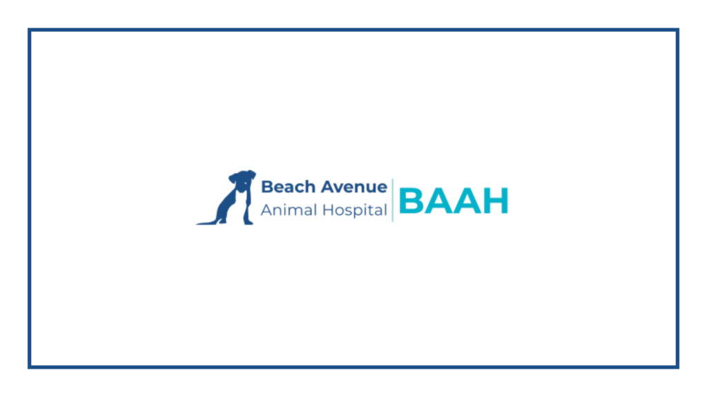 beach-avenue-animal-hospital