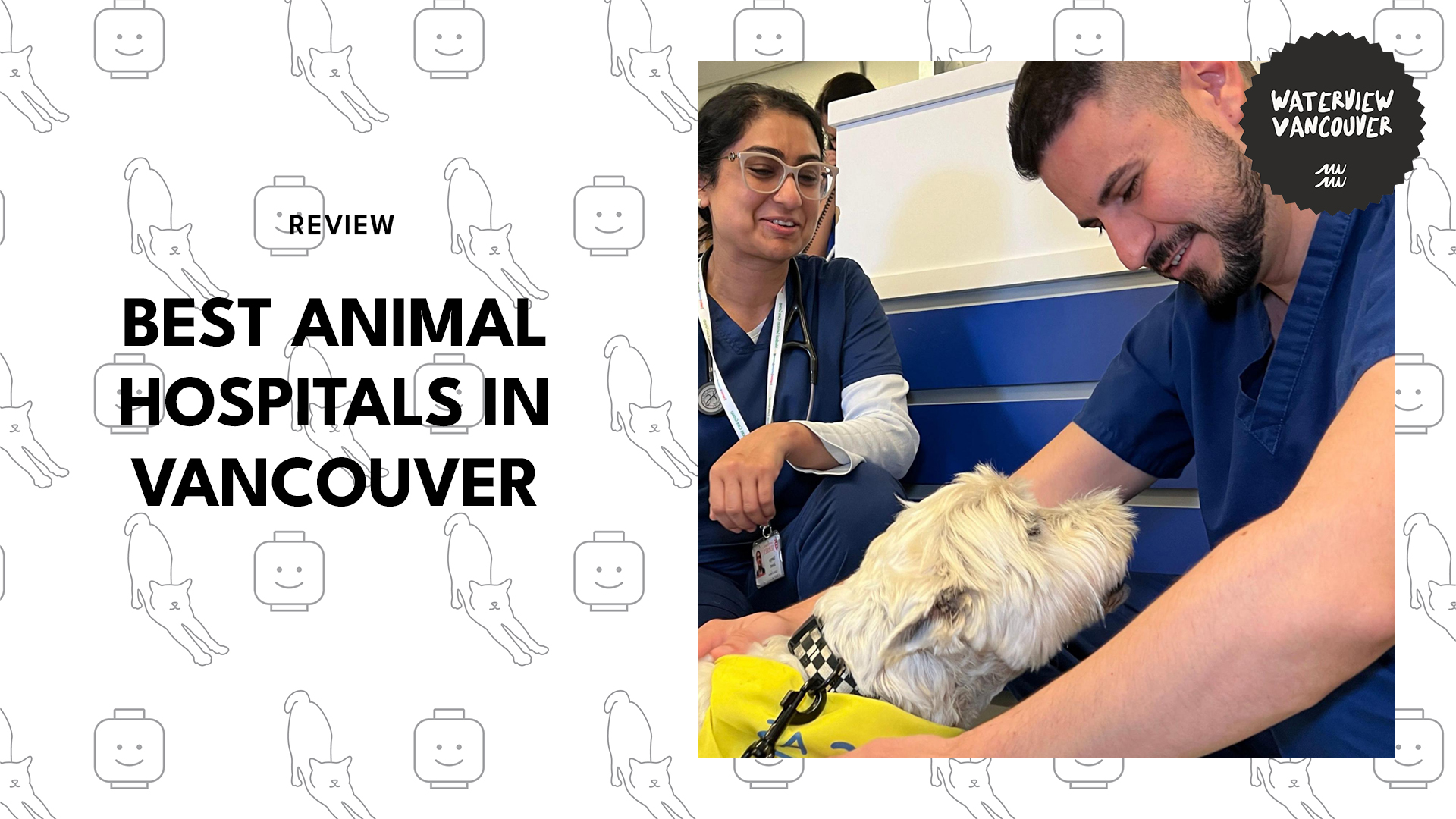 best-animal-hospitals-vancouver