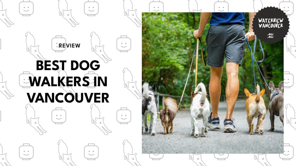 The 5 Best Dog Walkers in Vancouver for Every Breed