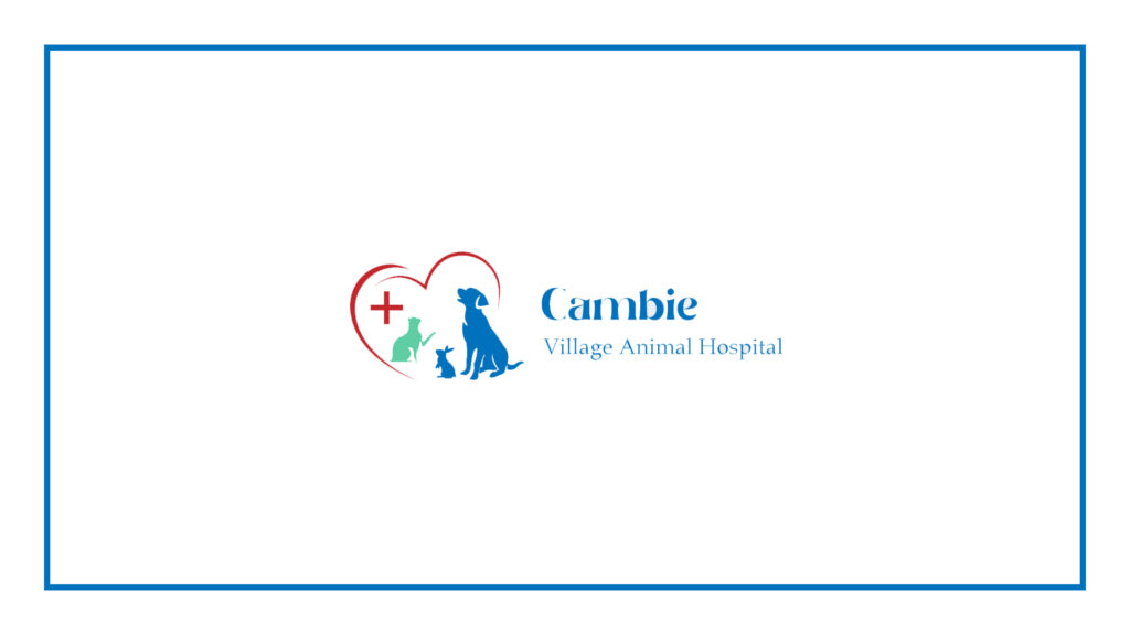 cambie-village-animal-hospital