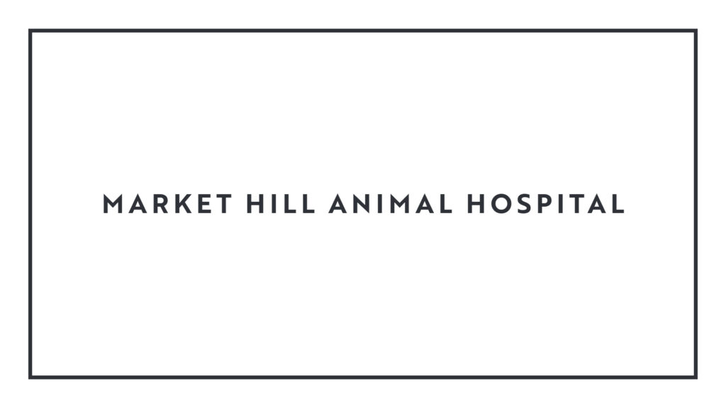 market-hill-animal-hospital