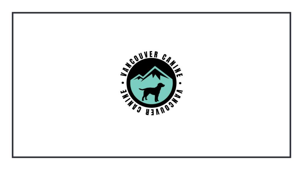 vancouver-canine-dog-walking