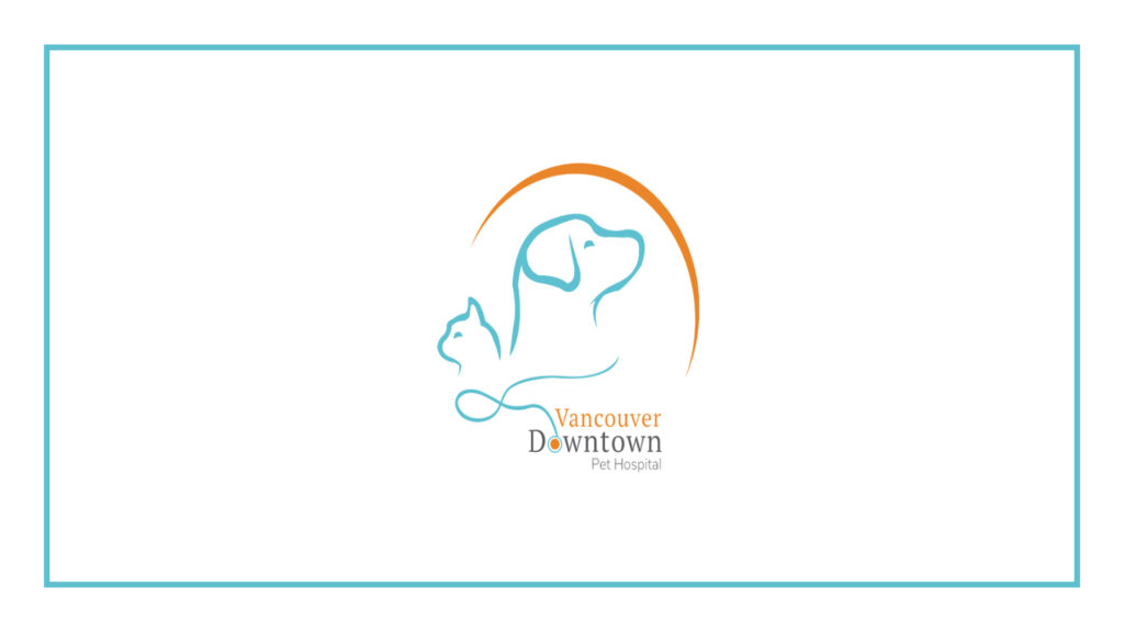 vancouver-downtown-pet-hospital