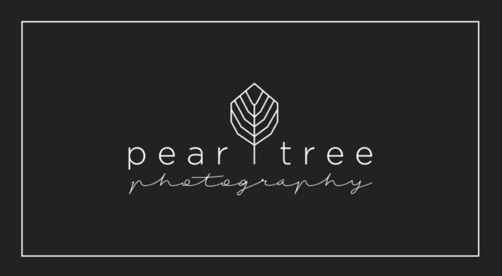 pear tree photography