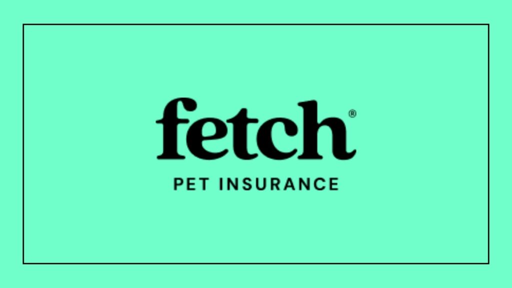 fetch-pet-insurance