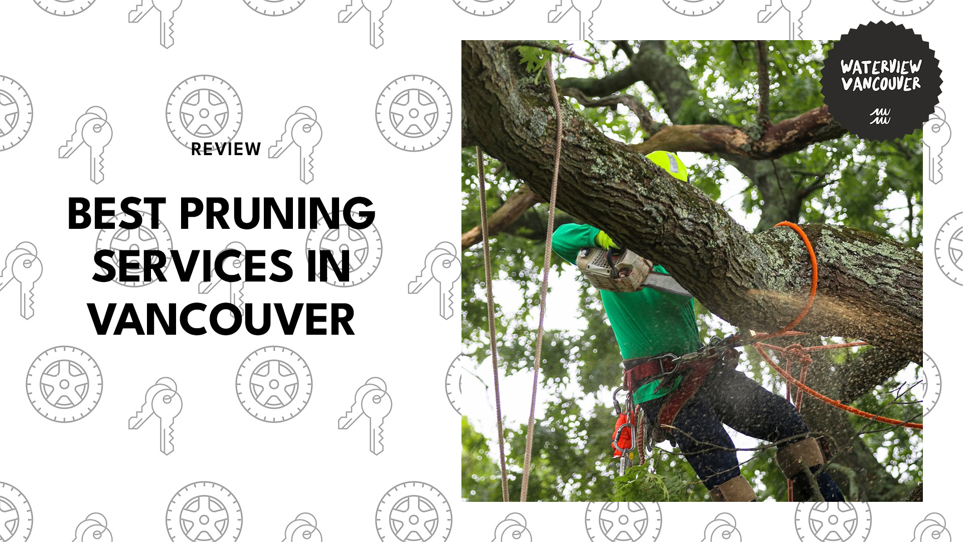 pruning-services-in-vancouver