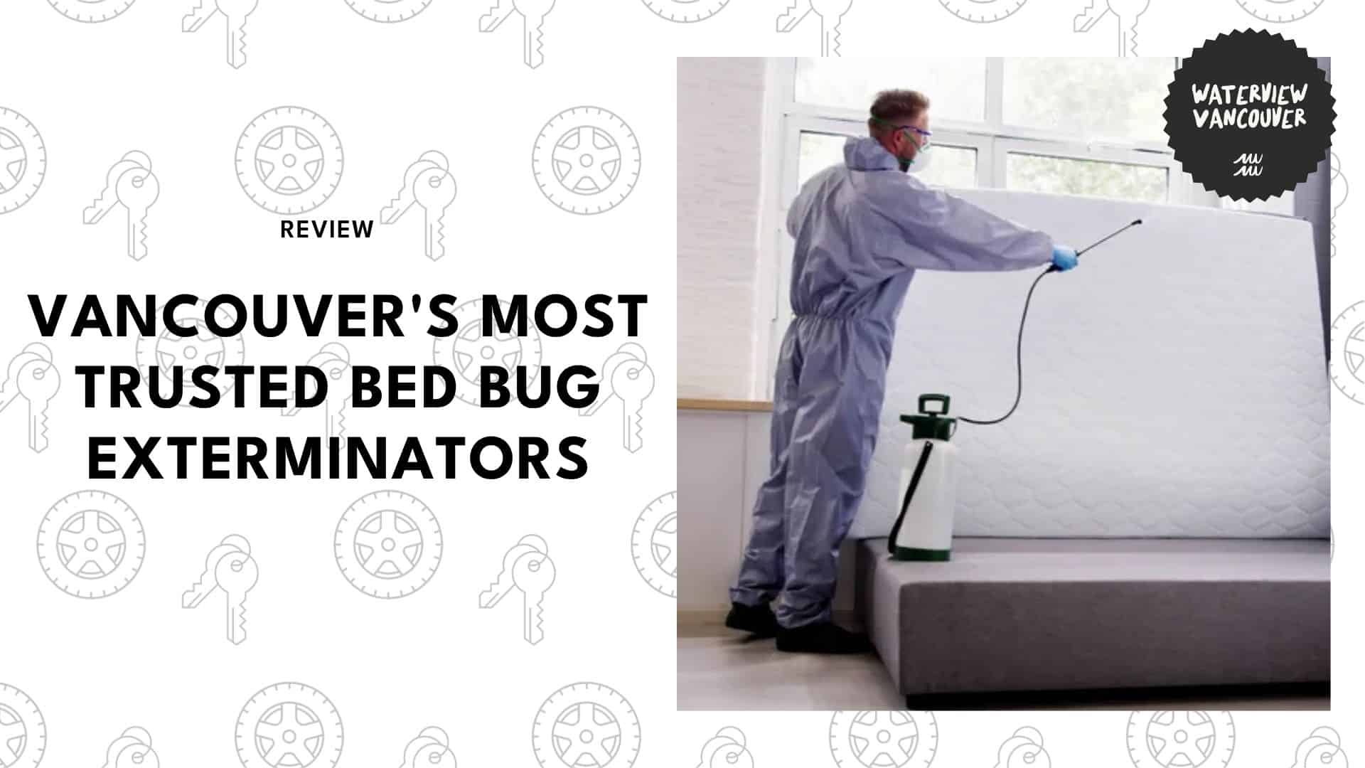 bed-bug-exterminators-in-vancouver