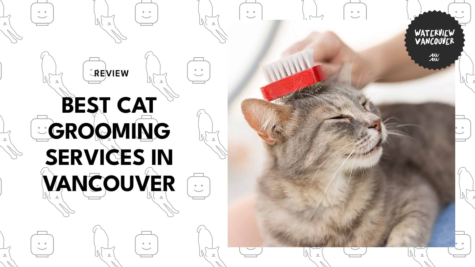 best-cat-grooming-vancouver-banner