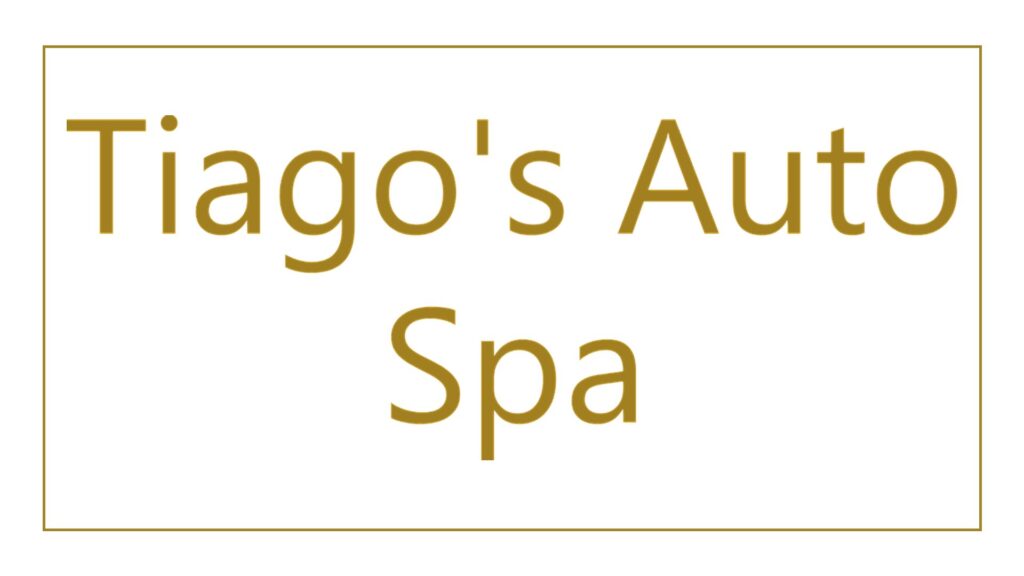 tiagos-auto-spa-logo