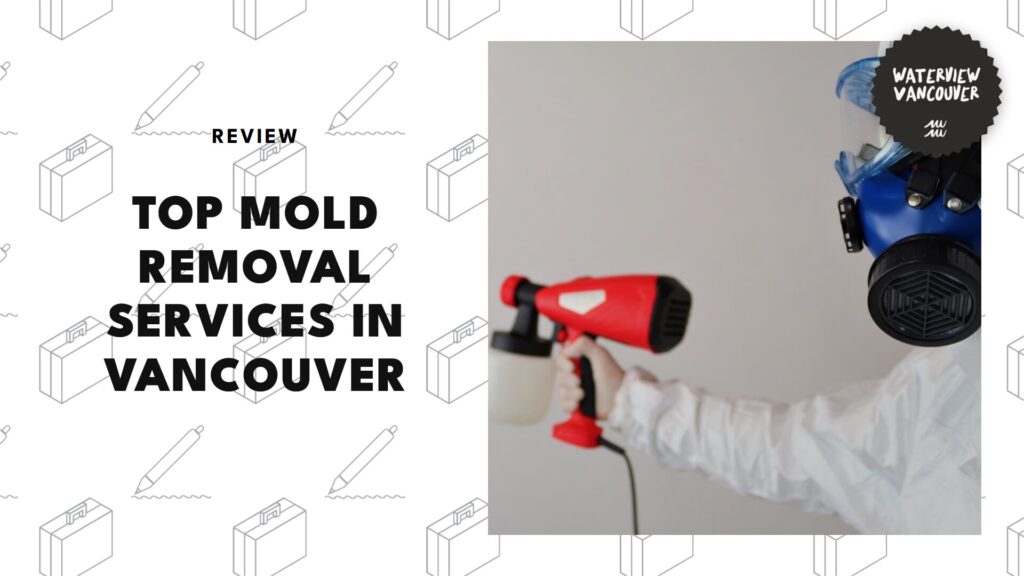 Protect your home at all costs with the 5 best mold removal services in Vancouver